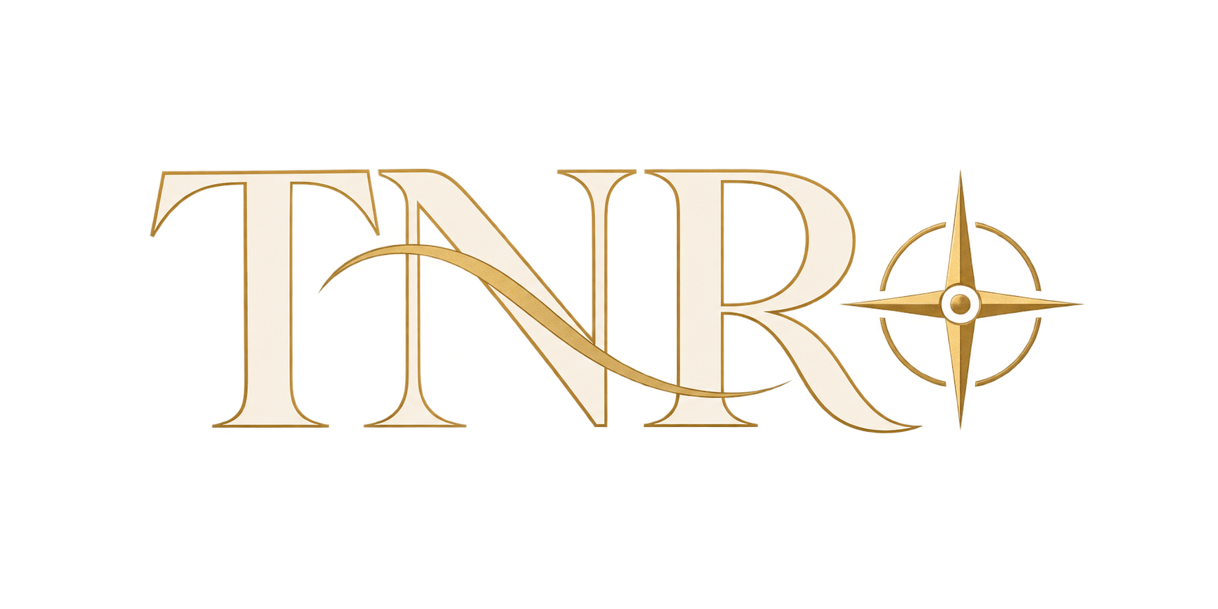 TNR compass logo
